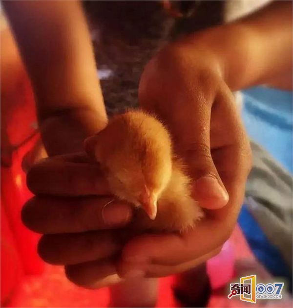 Ӣ˽Уѧũ