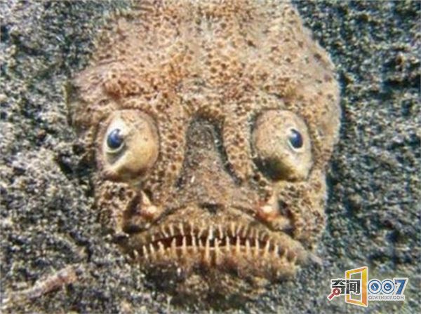 򸾺̲ˣͻȻУɷӳԶ