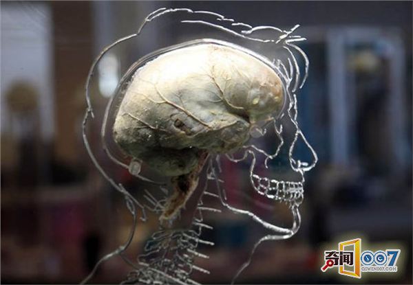 棡Ӣٰʵչ