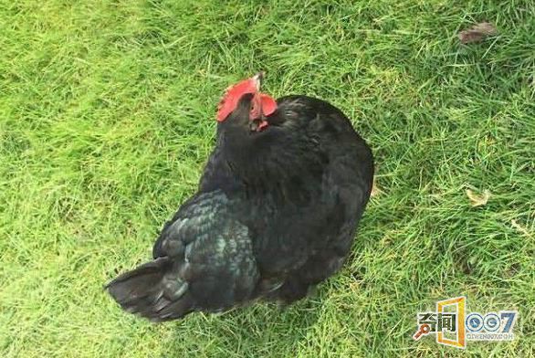 Ӣļ 4ı