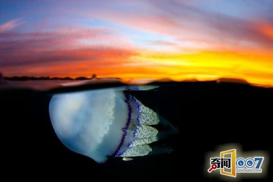 ޴ˮĸǱˮ ߺ޲