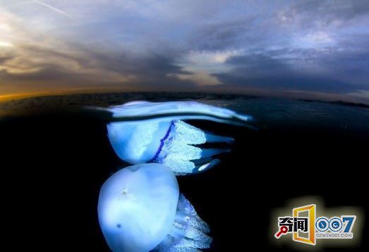 ޴ˮĸǱˮ ߺ޲