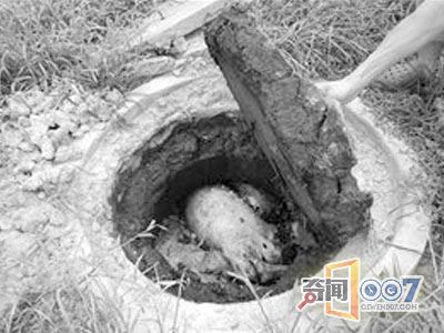 30꣬ڳΪ