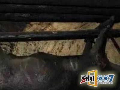 30꣬ڳΪ