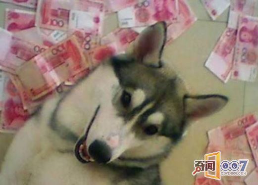 ΪŮһ֮ѡ˽Ǯ