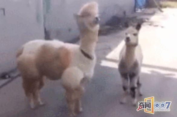 ӵϷգÿˮؾȺЦͣ