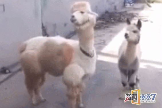 ӵϷգÿˮؾȺЦͣ