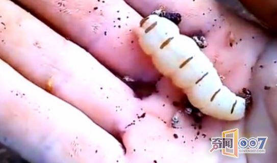 ·СںӷϺ