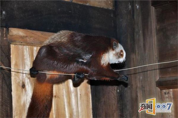 ũֻϾȴ