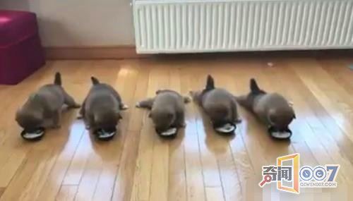 ѵǳԷȻЧȴǲ̫