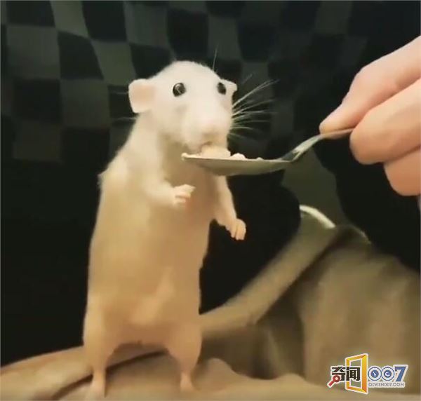 һߺ磬ǲֵֻ