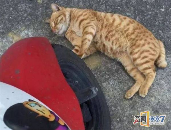 ӱèɣȰ뿪ȻҪ̯