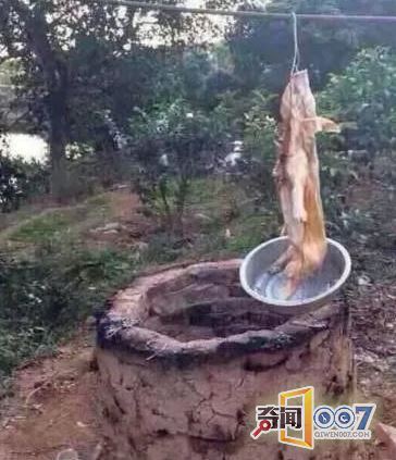 ǳԿ¯ȫ