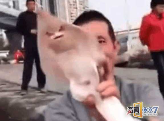 Ӳһ㣬Ŀ
