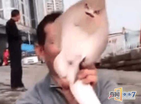Ӳһ㣬Ŀ
