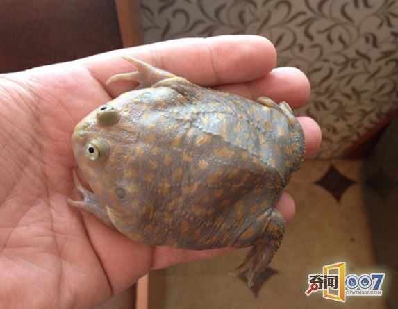ŮعܣòŹϲ