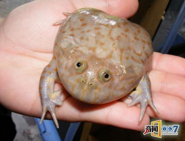 ŮعܣòŹϲ