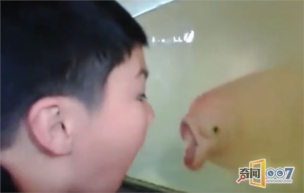 ӶķӦ˾治