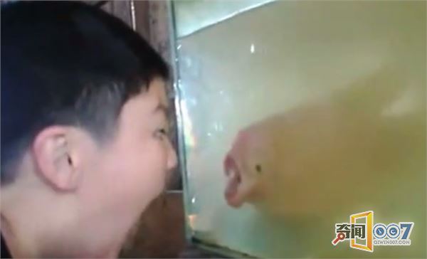 ӶķӦ˾治