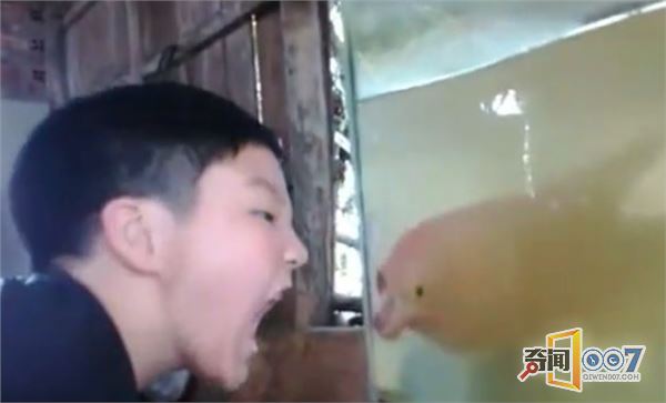 ӶķӦ˾治