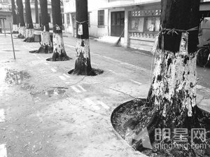 ޱƬ˼ʯˮɼ ѧУǸ