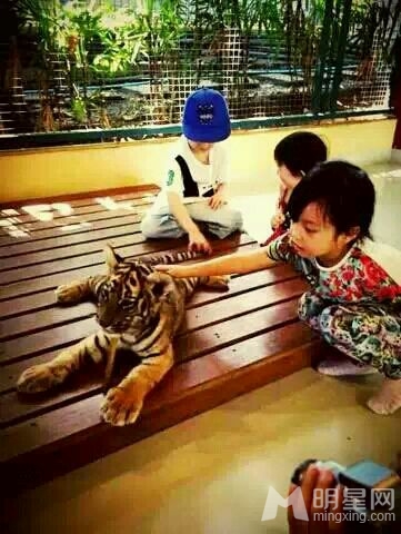 С���µ������ϻ� ��������Ů����