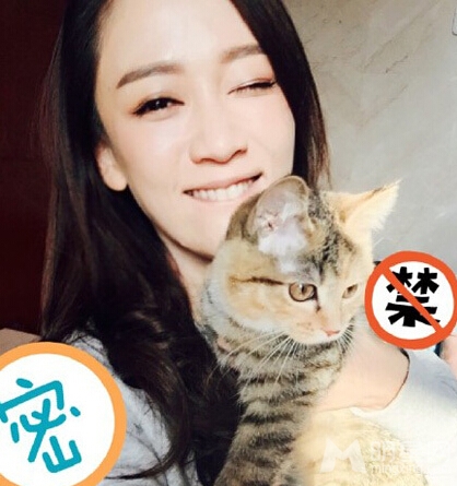 ���Ƕ�����ӭ������ ����������˻�ζ