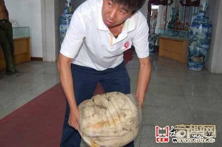 吉林发现重50斤“太岁”周长达108厘米(图)