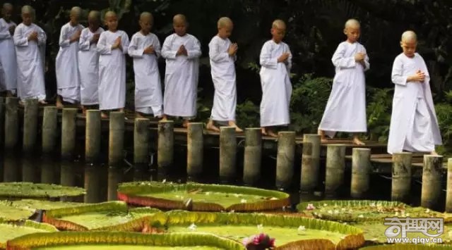 亚洲寺庙的怪事:日本的和尚尼姑竟能结婚生子? 亚洲寺庙的怪事:日本的和尚尼姑竟能结婚生子?