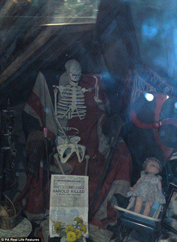 ӢһŮСԤס_ֻҪŵζ