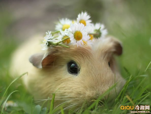 [ͼ]_ȸɰʱдƬ