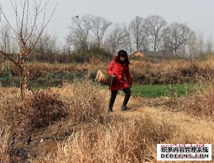 农民诗人余秀华的故事 农民诗人余秀华的故事