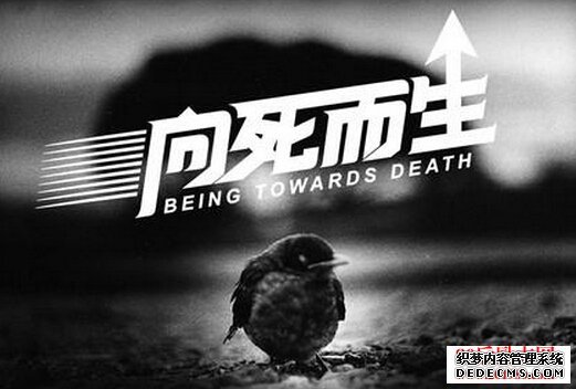 有一种活法叫向死而生,葬礼主持人袁君的故事 有一种活法叫向死而生,葬礼主持人袁君的故事