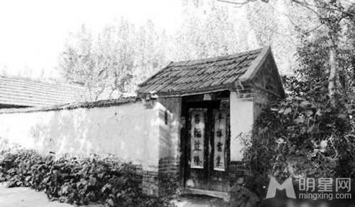 十多天前旧居里还郁郁葱葱