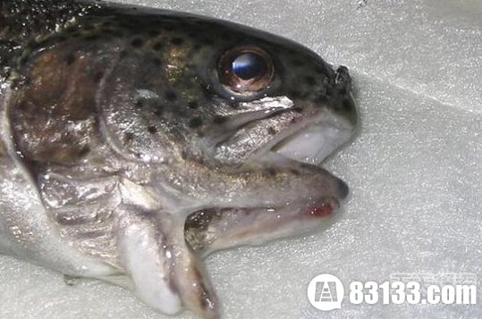 ȫ˵__
