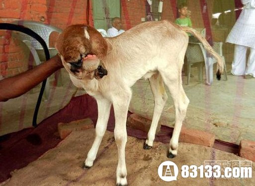 ⣡ӡ5ţĤ