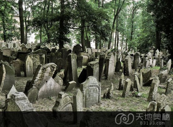 美男童可通灵_惊人预测母亲流产再怀 美男童可通灵_惊人预测母亲流产再怀