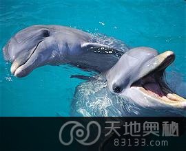 ʮͬԼҲ氮