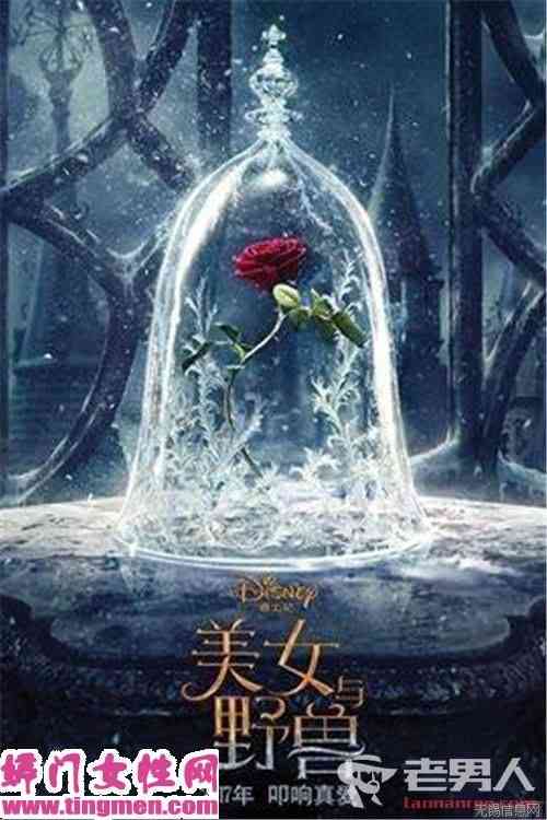 ŮҰޡ3ӳ IMAX3Dȫչ־ϸ