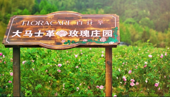 系出名门花式营销,百花萃深耕少女护肤新市场