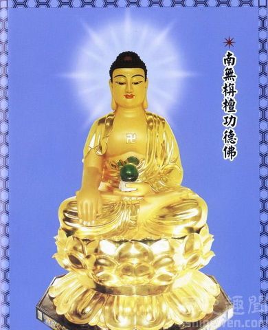 ɮԸô ɮʲô
